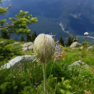 Meet your Posher, Blakatze